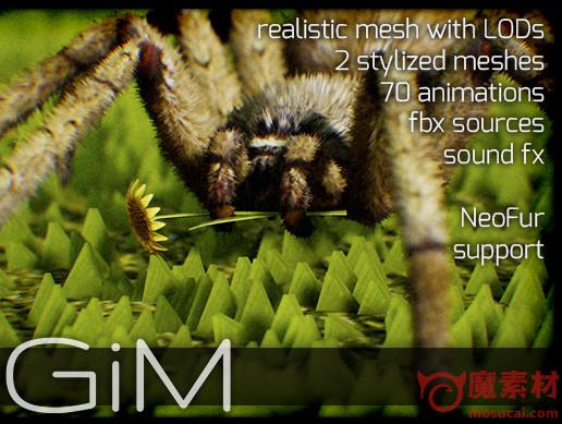 3D蜘蛛模型含动作 Animals Spider