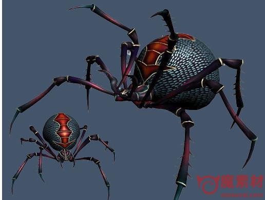 3D 蜘蛛模型动作下载 Animated Spider