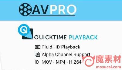 AVPro QuickTime v3.02