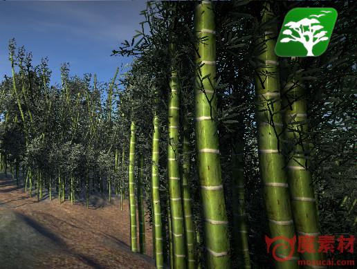 竹子 竹林模型资源下载Bamboo Tree Pack