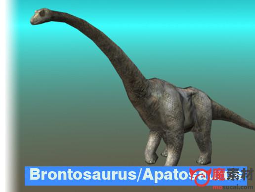 3D恐龙 动作 Brontosaurus\Apatosaurus Dinosaur