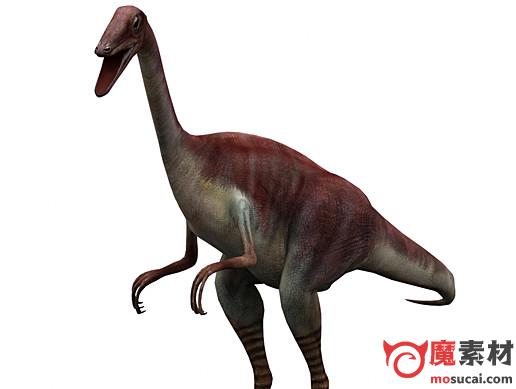 3D恐龙 秀颌龙 模型资源下载Compsognathus