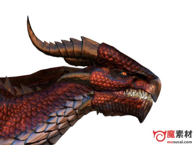 UNITY 3D 高清 飞龙 恐龙 西方龙 3D模型动作Dragon Boss