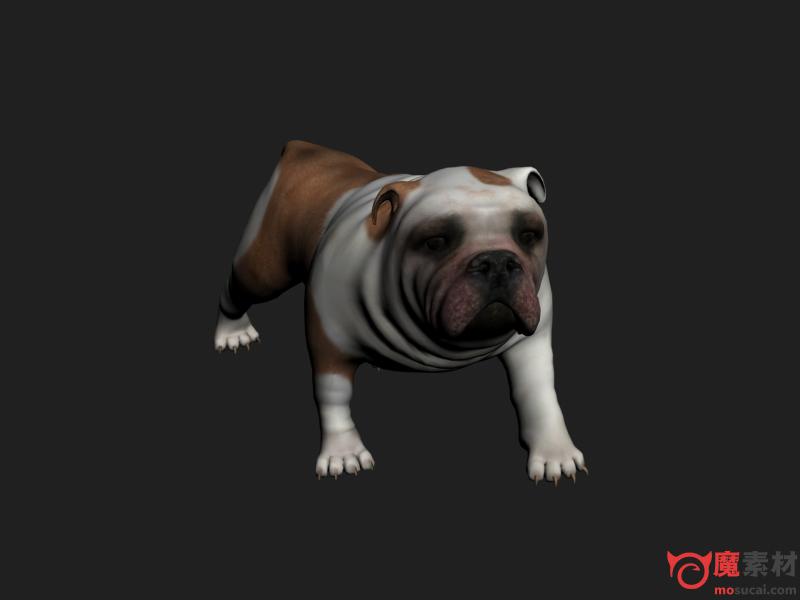 3D英国斗牛犬,动物,狗 fbx 3d模型资源