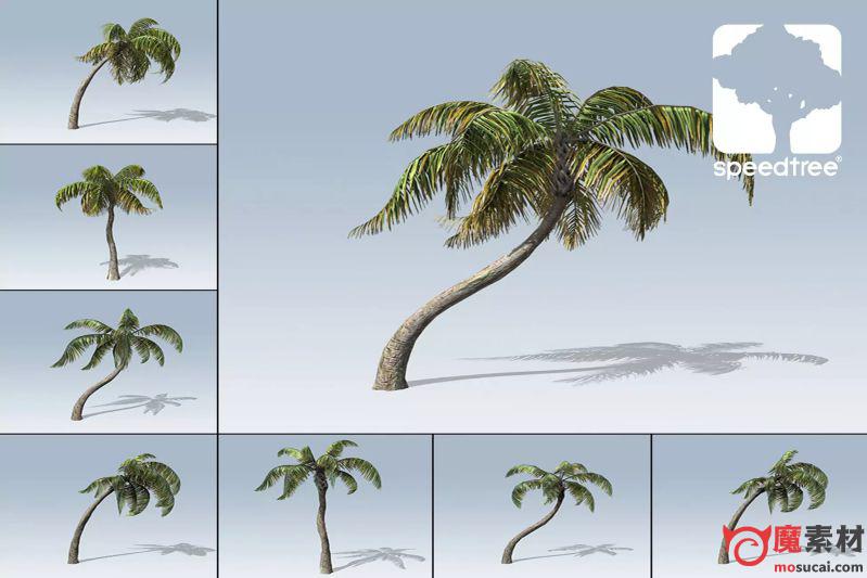 3D棕榈树 椰树模型海岛植物模型Palm Package v1.0